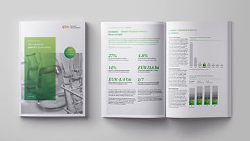 The Chemical Industry in Germany