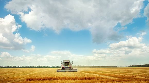 Erntemaschine auf Feld