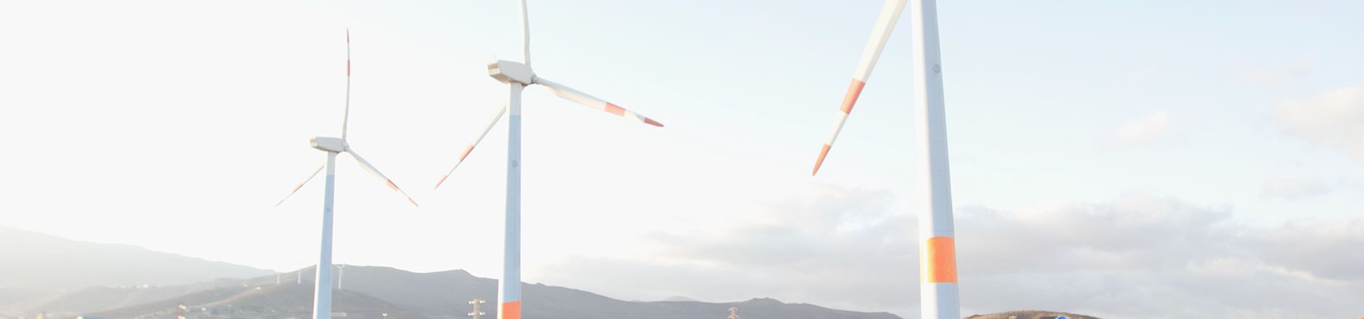 Bild von Arbeitern, die Sonnenkollektoren bei einem Plan für erneuerbare Energien inspizieren.|© Getty Images/LL28